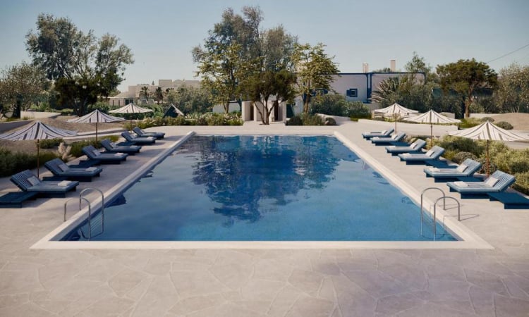 Black Rose Santorini